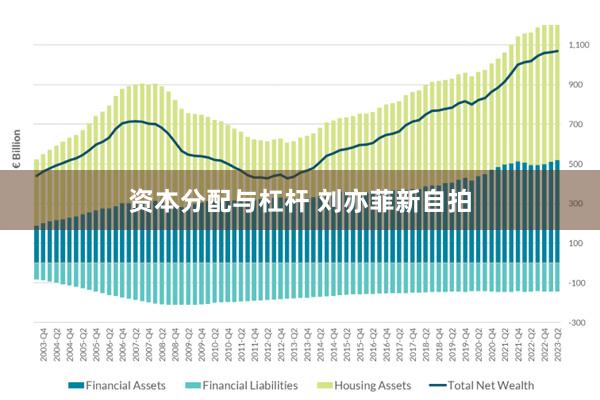 资本分配与杠杆 刘亦菲新自拍