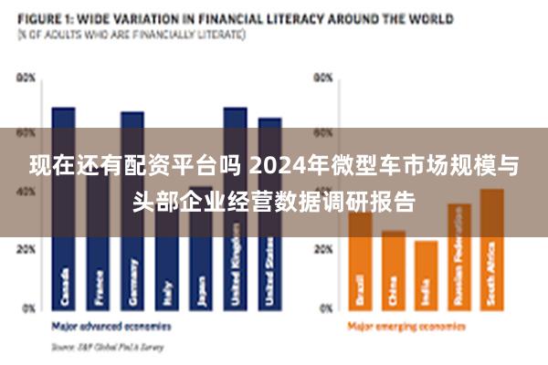 现在还有配资平台吗 2024年微型车市场规模与头部企业经营数据调研报告