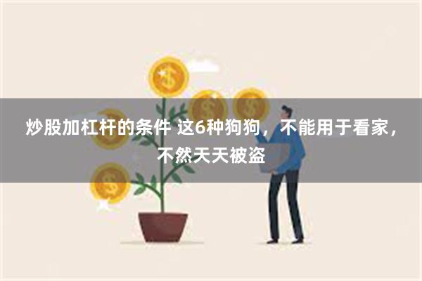 炒股加杠杆的条件 这6种狗狗，不能用于看家，不然天天被盗