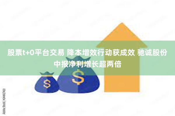 股票t+0平台交易 降本增效行动获成效 驰诚股份中报净利增长超两倍