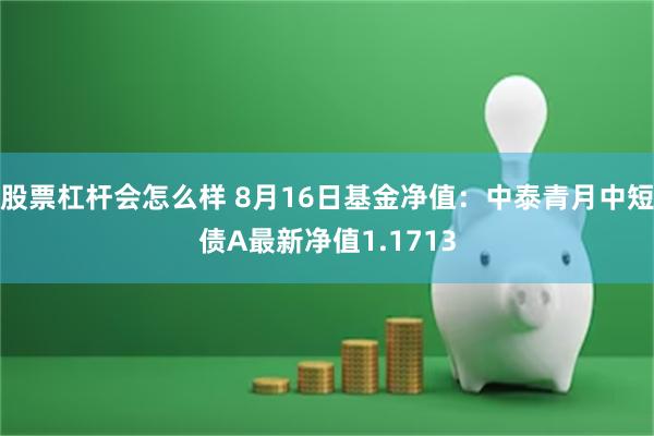 股票杠杆会怎么样 8月16日基金净值：中泰青月中短债A最新净值1.1713