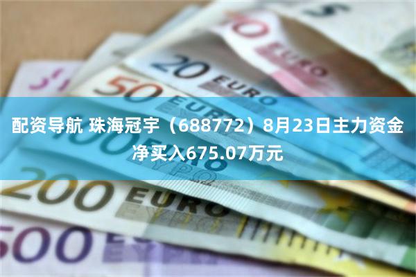 配资导航 珠海冠宇（688772）8月23日主力资金净买入675.07万元