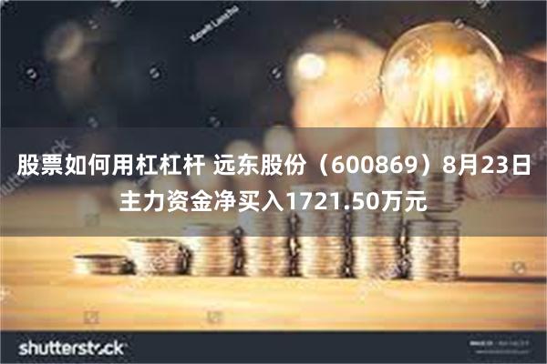 股票如何用杠杠杆 远东股份（600869）8月23日主力资金净买入1721.50万元