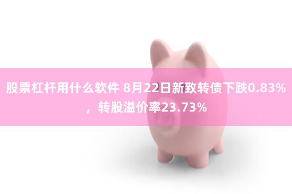 股票杠杆用什么软件 8月22日新致转债下跌0.83%，转股溢价率23.73%