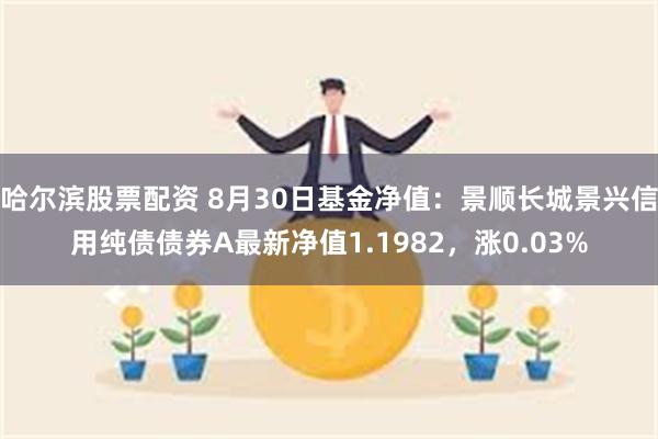 哈尔滨股票配资 8月30日基金净值：景顺长城景兴信用纯债债券A最新净值1.1982，涨0.03%