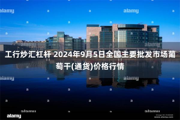 工行炒汇杠杆 2024年9月5日全国主要批发市场葡萄干(通货)价格行情