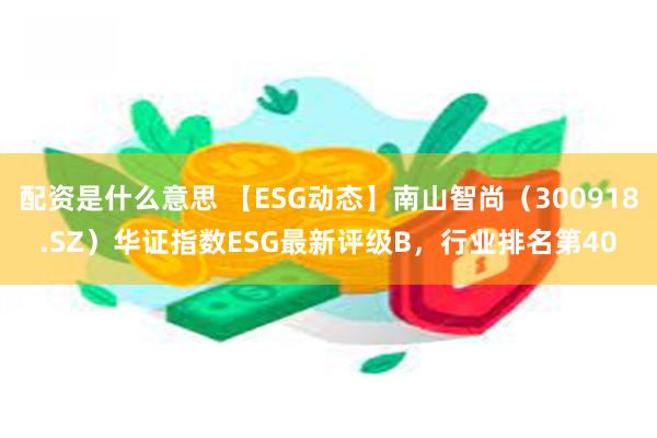 配资是什么意思 【ESG动态】南山智尚（300918.SZ）华证指数ESG最新评级B，行业排名第40