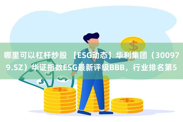 哪里可以杠杆炒股 【ESG动态】华利集团（300979.SZ）华证指数ESG最新评级BBB，行业排名第5