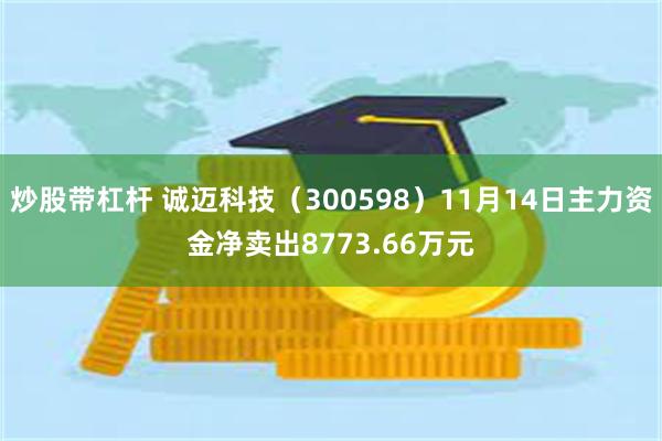 炒股带杠杆 诚迈科技（300598）11月14日主力资金净卖出8773.66万元