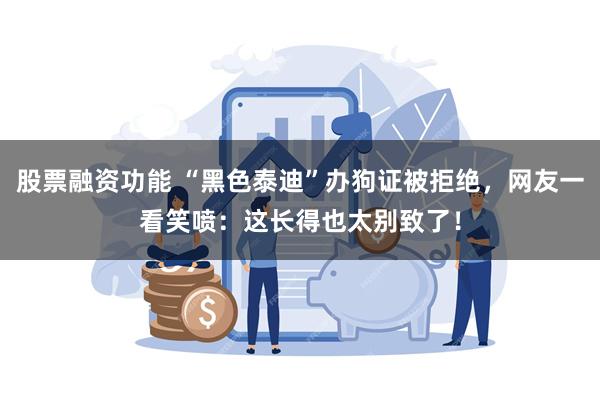 股票融资功能 “黑色泰迪”办狗证被拒绝，网友一看笑喷：这长得也太别致了！