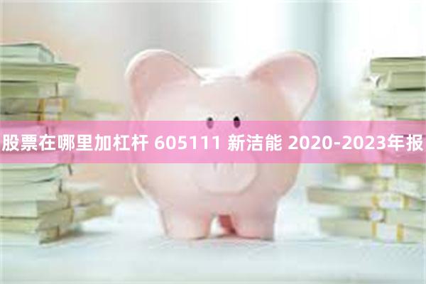 股票在哪里加杠杆 605111 新洁能 2020-2023年报