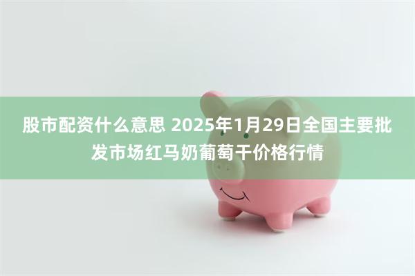 股市配资什么意思 2025年1月29日全国主要批发市场红马奶葡萄干价格行情